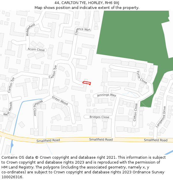 44, CARLTON TYE, HORLEY, RH6 9XJ: Location map and indicative extent of plot