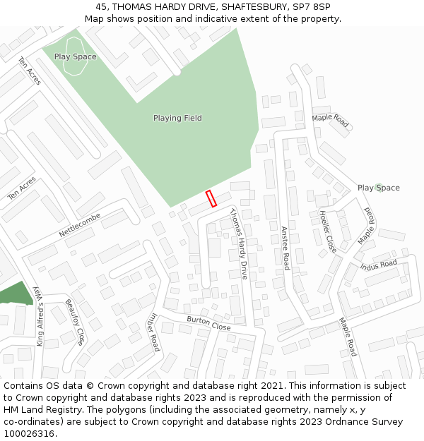 45, THOMAS HARDY DRIVE, SHAFTESBURY, SP7 8SP: Location map and indicative extent of plot