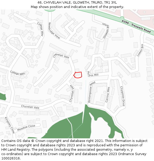 46, CHYVELAH VALE, GLOWETH, TRURO, TR1 3YL: Location map and indicative extent of plot