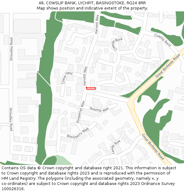 48, COWSLIP BANK, LYCHPIT, BASINGSTOKE, RG24 8RR: Location map and indicative extent of plot