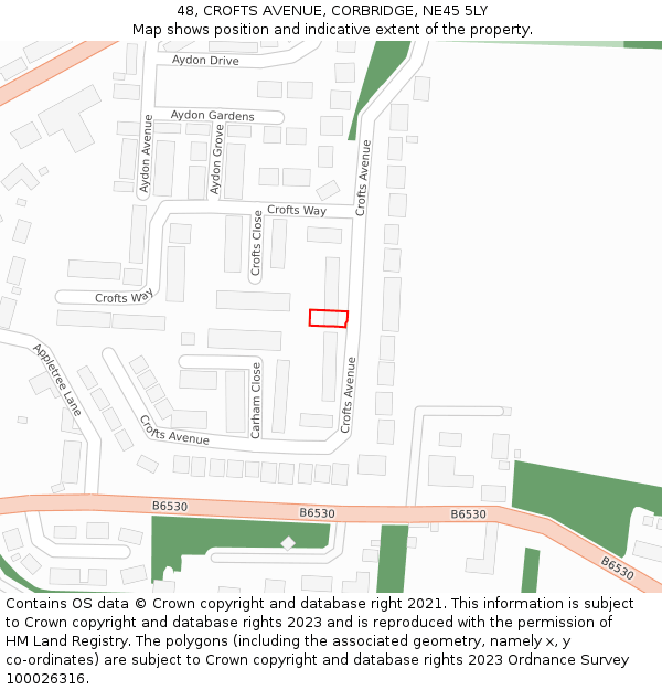 48, CROFTS AVENUE, CORBRIDGE, NE45 5LY: Location map and indicative extent of plot