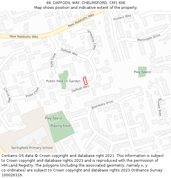 48, DAFFODIL WAY, CHELMSFORD, CM1 6XE: Location map and indicative extent of plot