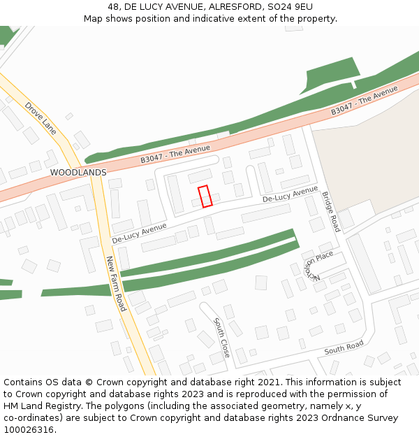48, DE LUCY AVENUE, ALRESFORD, SO24 9EU: Location map and indicative extent of plot