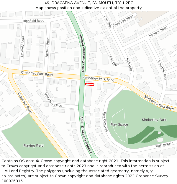 49, DRACAENA AVENUE, FALMOUTH, TR11 2EG: Location map and indicative extent of plot