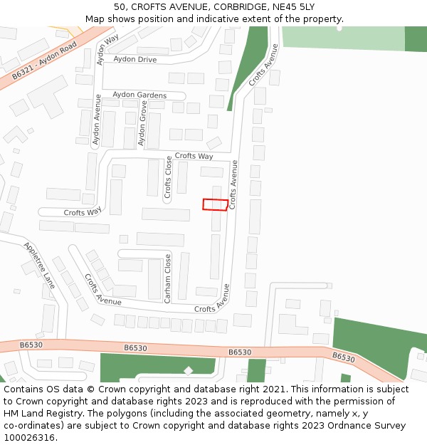 50, CROFTS AVENUE, CORBRIDGE, NE45 5LY: Location map and indicative extent of plot