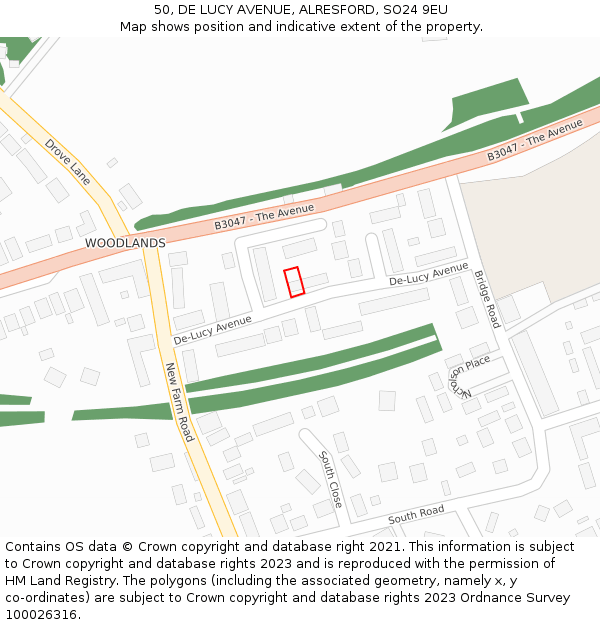 50, DE LUCY AVENUE, ALRESFORD, SO24 9EU: Location map and indicative extent of plot