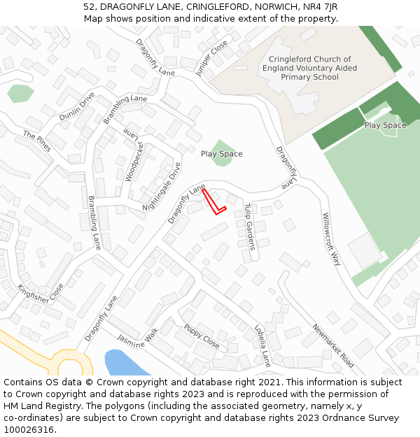 52, DRAGONFLY LANE, CRINGLEFORD, NORWICH, NR4 7JR: Location map and indicative extent of plot