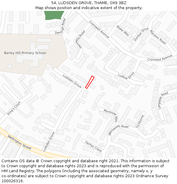 54, LUDSDEN GROVE, THAME, OX9 3BZ: Location map and indicative extent of plot