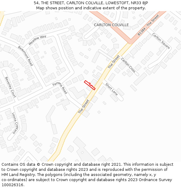 54, THE STREET, CARLTON COLVILLE, LOWESTOFT, NR33 8JP: Location map and indicative extent of plot