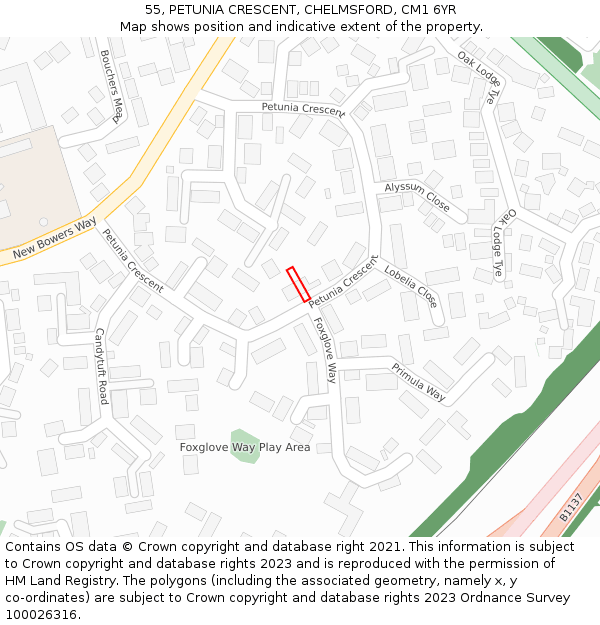 55, PETUNIA CRESCENT, CHELMSFORD, CM1 6YR: Location map and indicative extent of plot