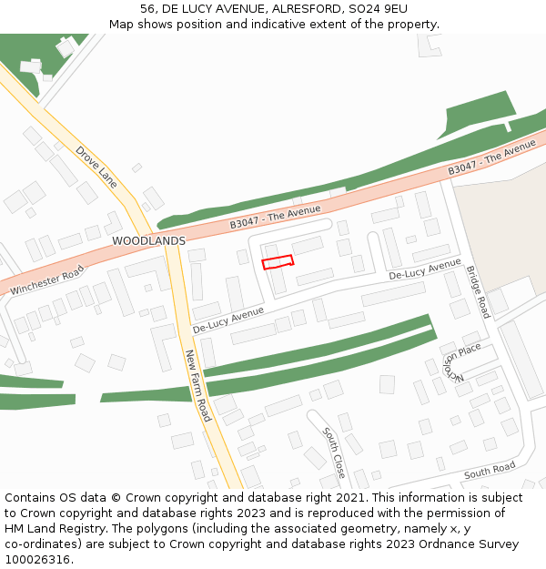 56, DE LUCY AVENUE, ALRESFORD, SO24 9EU: Location map and indicative extent of plot