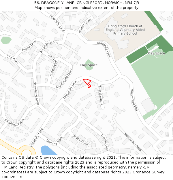 56, DRAGONFLY LANE, CRINGLEFORD, NORWICH, NR4 7JR: Location map and indicative extent of plot