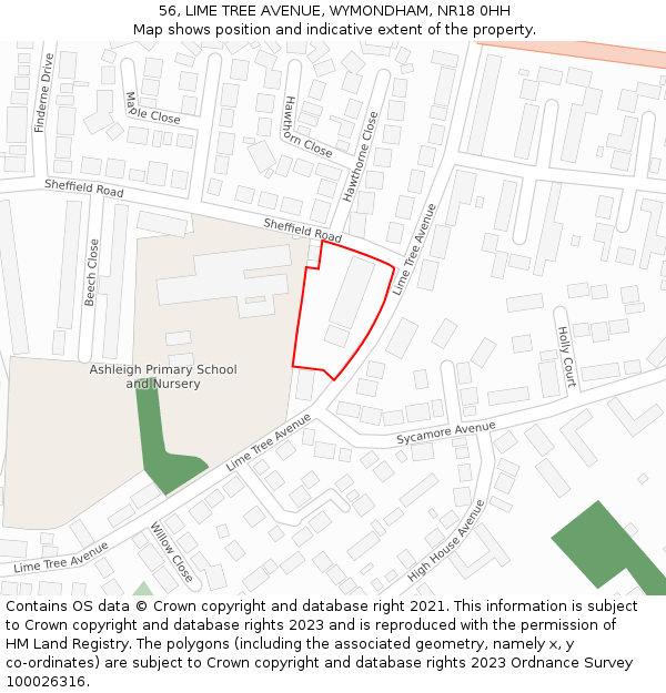 56, LIME TREE AVENUE, WYMONDHAM, NR18 0HH: Location map and indicative extent of plot