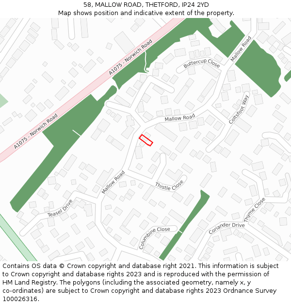58, MALLOW ROAD, THETFORD, IP24 2YD: Location map and indicative extent of plot