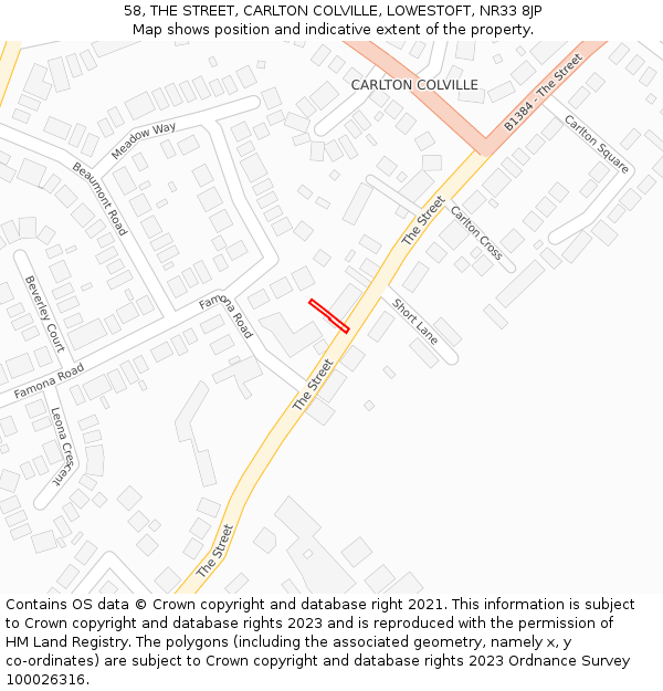 58, THE STREET, CARLTON COLVILLE, LOWESTOFT, NR33 8JP: Location map and indicative extent of plot