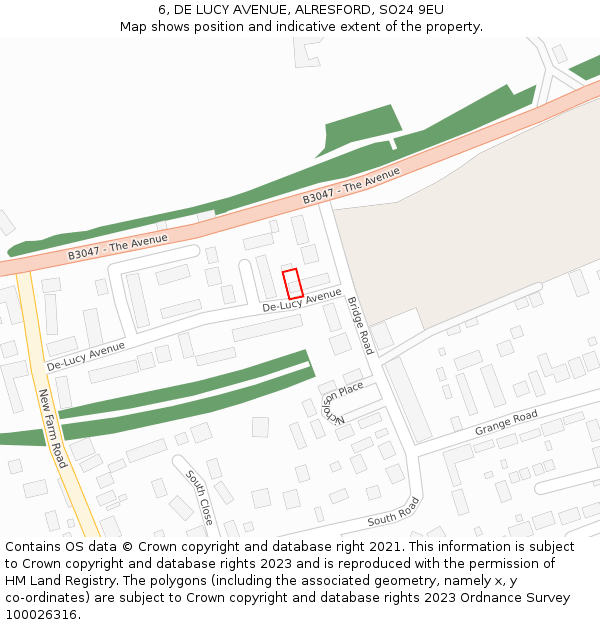 6, DE LUCY AVENUE, ALRESFORD, SO24 9EU: Location map and indicative extent of plot