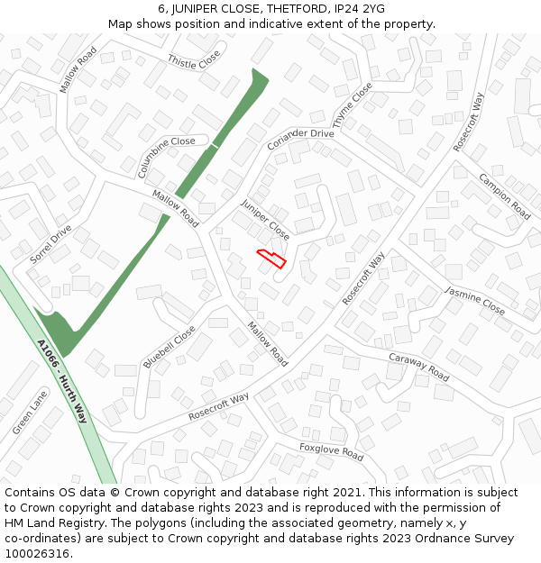 6, JUNIPER CLOSE, THETFORD, IP24 2YG: Location map and indicative extent of plot