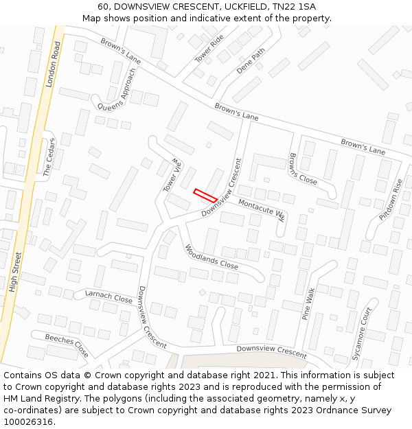 60, DOWNSVIEW CRESCENT, UCKFIELD, TN22 1SA: Location map and indicative extent of plot