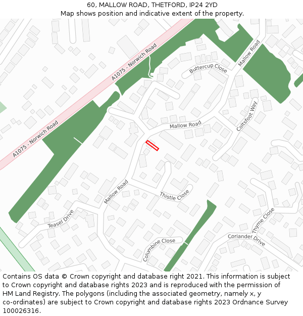 60, MALLOW ROAD, THETFORD, IP24 2YD: Location map and indicative extent of plot