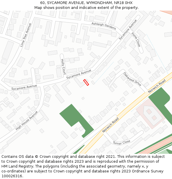 60, SYCAMORE AVENUE, WYMONDHAM, NR18 0HX: Location map and indicative extent of plot