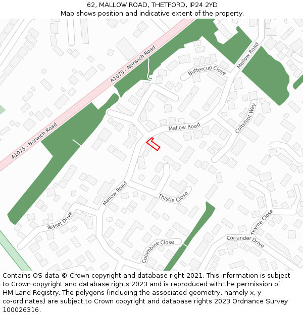 62, MALLOW ROAD, THETFORD, IP24 2YD: Location map and indicative extent of plot