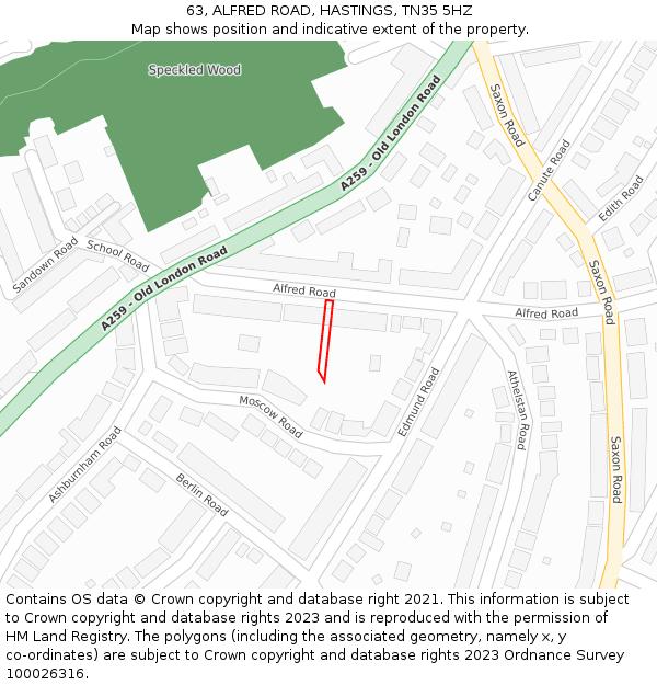 63, ALFRED ROAD, HASTINGS, TN35 5HZ: Location map and indicative extent of plot