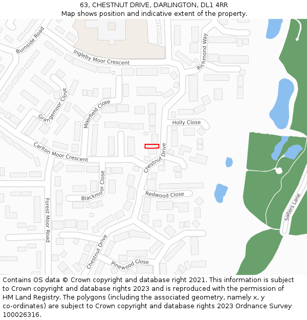 63, CHESTNUT DRIVE, DARLINGTON, DL1 4RR: Location map and indicative extent of plot