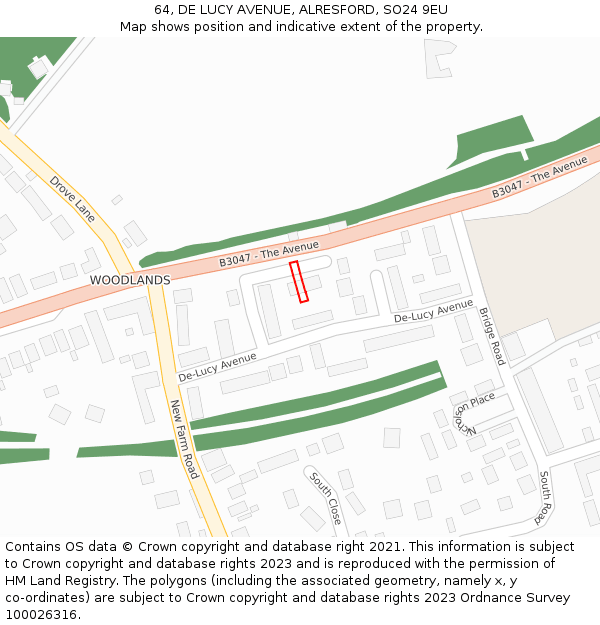64, DE LUCY AVENUE, ALRESFORD, SO24 9EU: Location map and indicative extent of plot