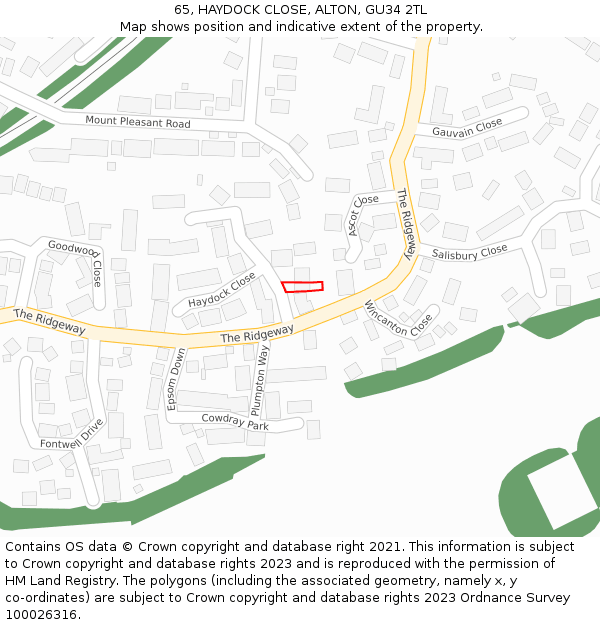 65, HAYDOCK CLOSE, ALTON, GU34 2TL: Location map and indicative extent of plot