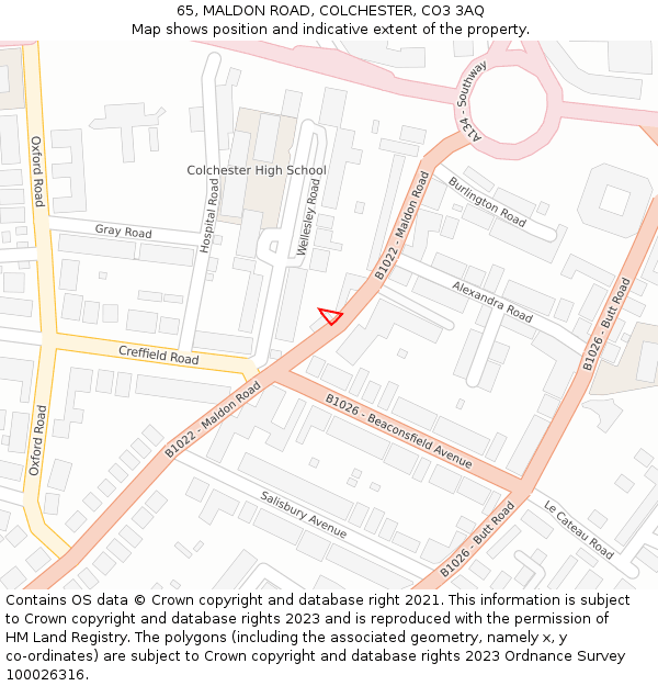 65, MALDON ROAD, COLCHESTER, CO3 3AQ: Location map and indicative extent of plot