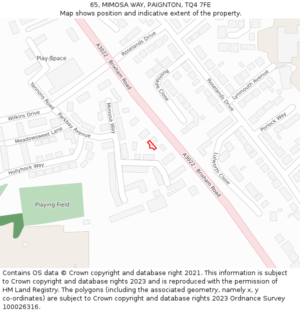 65, MIMOSA WAY, PAIGNTON, TQ4 7FE: Location map and indicative extent of plot