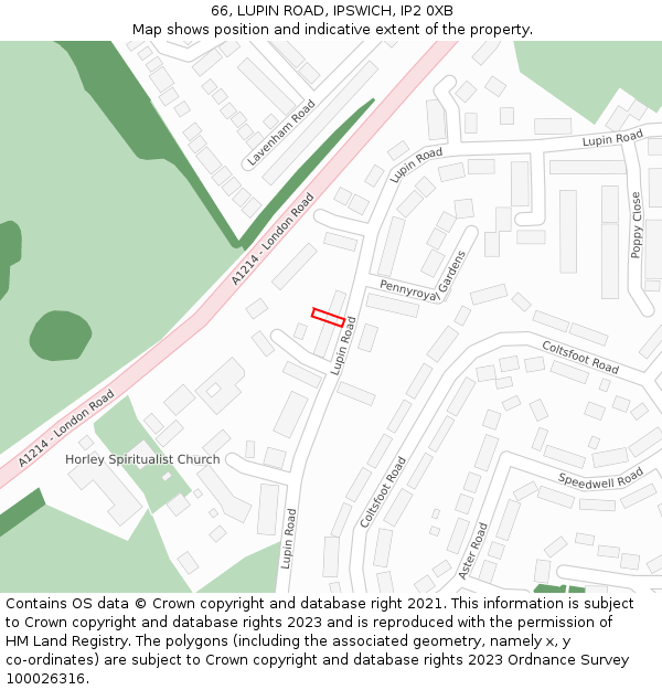 66, LUPIN ROAD, IPSWICH, IP2 0XB: Location map and indicative extent of plot