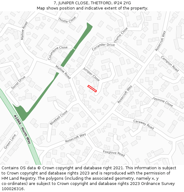7, JUNIPER CLOSE, THETFORD, IP24 2YG: Location map and indicative extent of plot