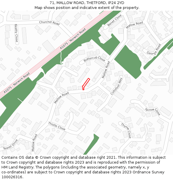 71, MALLOW ROAD, THETFORD, IP24 2YD: Location map and indicative extent of plot