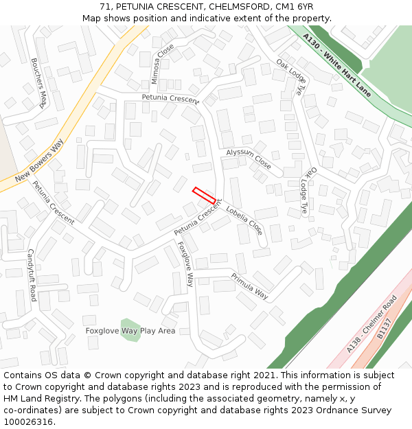 71, PETUNIA CRESCENT, CHELMSFORD, CM1 6YR: Location map and indicative extent of plot