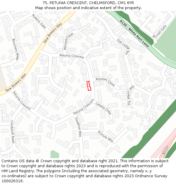 75, PETUNIA CRESCENT, CHELMSFORD, CM1 6YR: Location map and indicative extent of plot