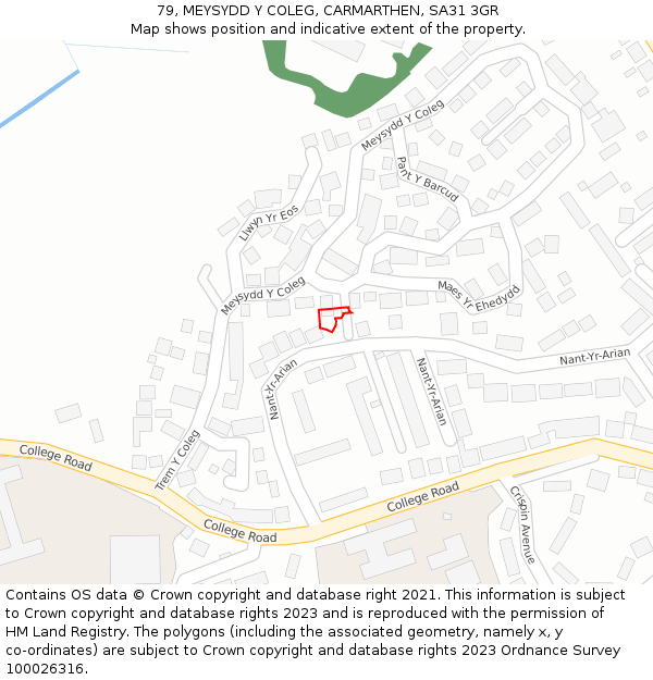 79, MEYSYDD Y COLEG, CARMARTHEN, SA31 3GR: Location map and indicative extent of plot