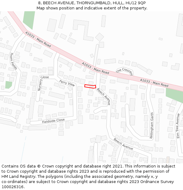 8, BEECH AVENUE, THORNGUMBALD, HULL, HU12 9QP: Location map and indicative extent of plot