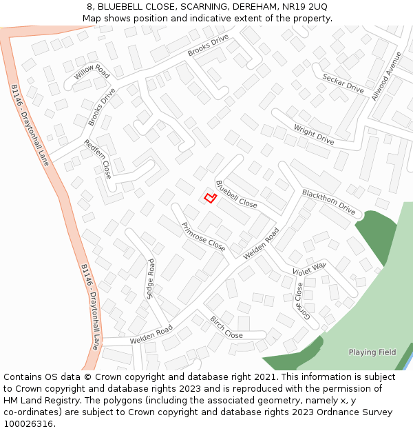 8, BLUEBELL CLOSE, SCARNING, DEREHAM, NR19 2UQ: Location map and indicative extent of plot