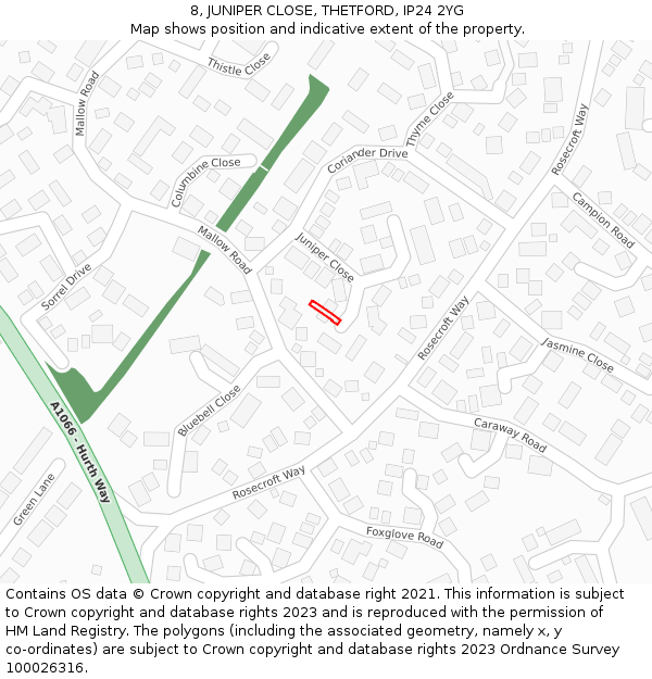 8, JUNIPER CLOSE, THETFORD, IP24 2YG: Location map and indicative extent of plot