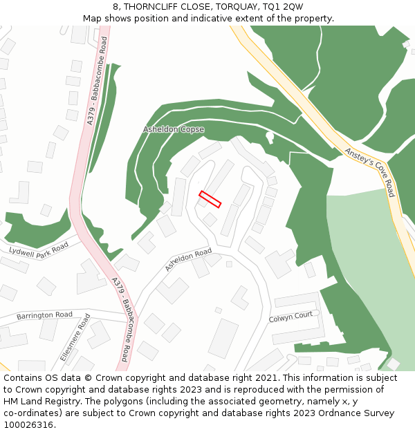8, THORNCLIFF CLOSE, TORQUAY, TQ1 2QW: Location map and indicative extent of plot