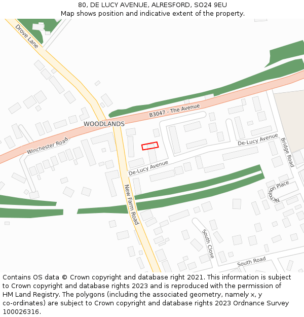 80, DE LUCY AVENUE, ALRESFORD, SO24 9EU: Location map and indicative extent of plot