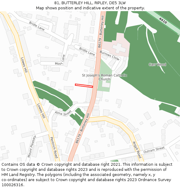 81, BUTTERLEY HILL, RIPLEY, DE5 3LW: Location map and indicative extent of plot