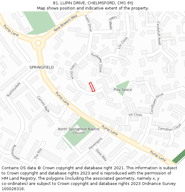 81, LUPIN DRIVE, CHELMSFORD, CM1 6YJ: Location map and indicative extent of plot