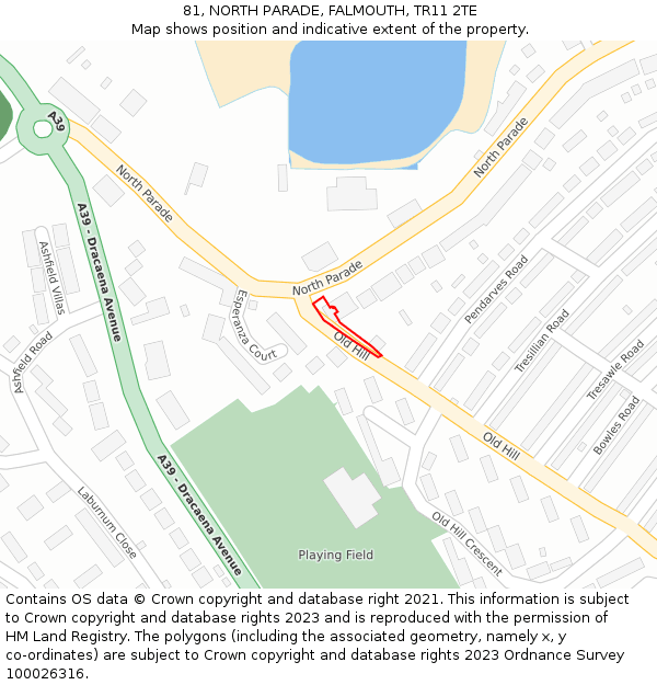 81, NORTH PARADE, FALMOUTH, TR11 2TE: Location map and indicative extent of plot