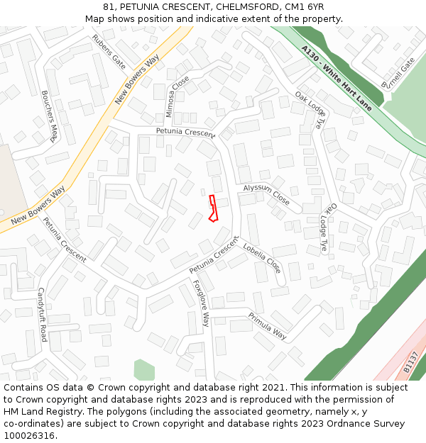 81, PETUNIA CRESCENT, CHELMSFORD, CM1 6YR: Location map and indicative extent of plot