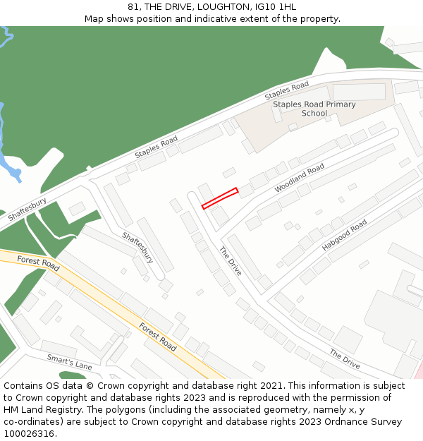 81, THE DRIVE, LOUGHTON, IG10 1HL: Location map and indicative extent of plot