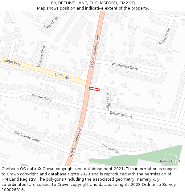89, BEEHIVE LANE, CHELMSFORD, CM2 9TJ: Location map and indicative extent of plot