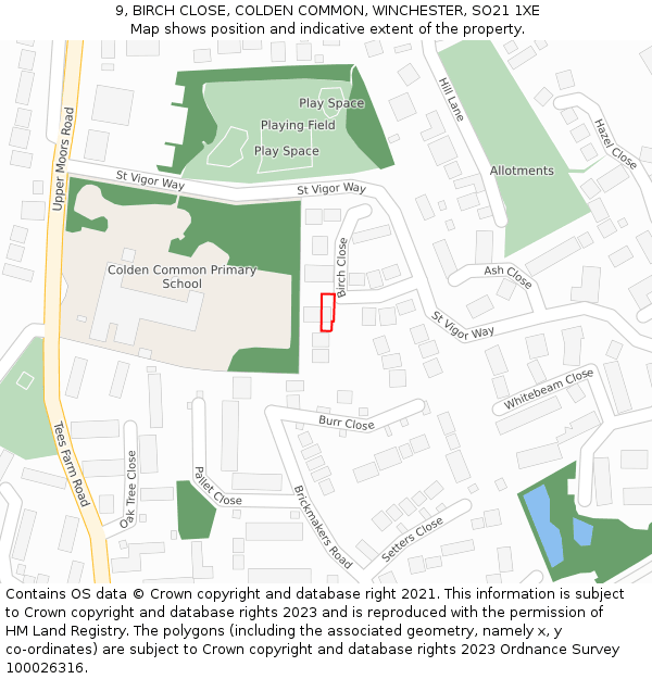 9, BIRCH CLOSE, COLDEN COMMON, WINCHESTER, SO21 1XE: Location map and indicative extent of plot