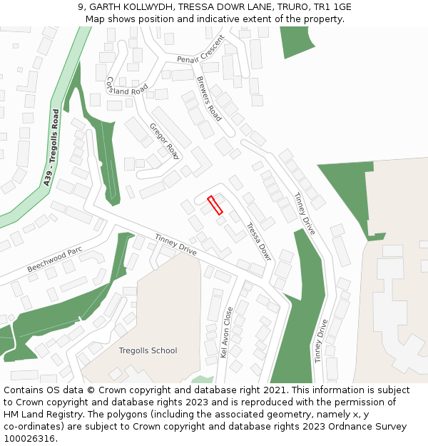 9, GARTH KOLLWYDH, TRESSA DOWR LANE, TRURO, TR1 1GE: Location map and indicative extent of plot